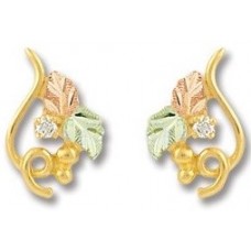 Genuine Diamond Earrings - by Landstroms